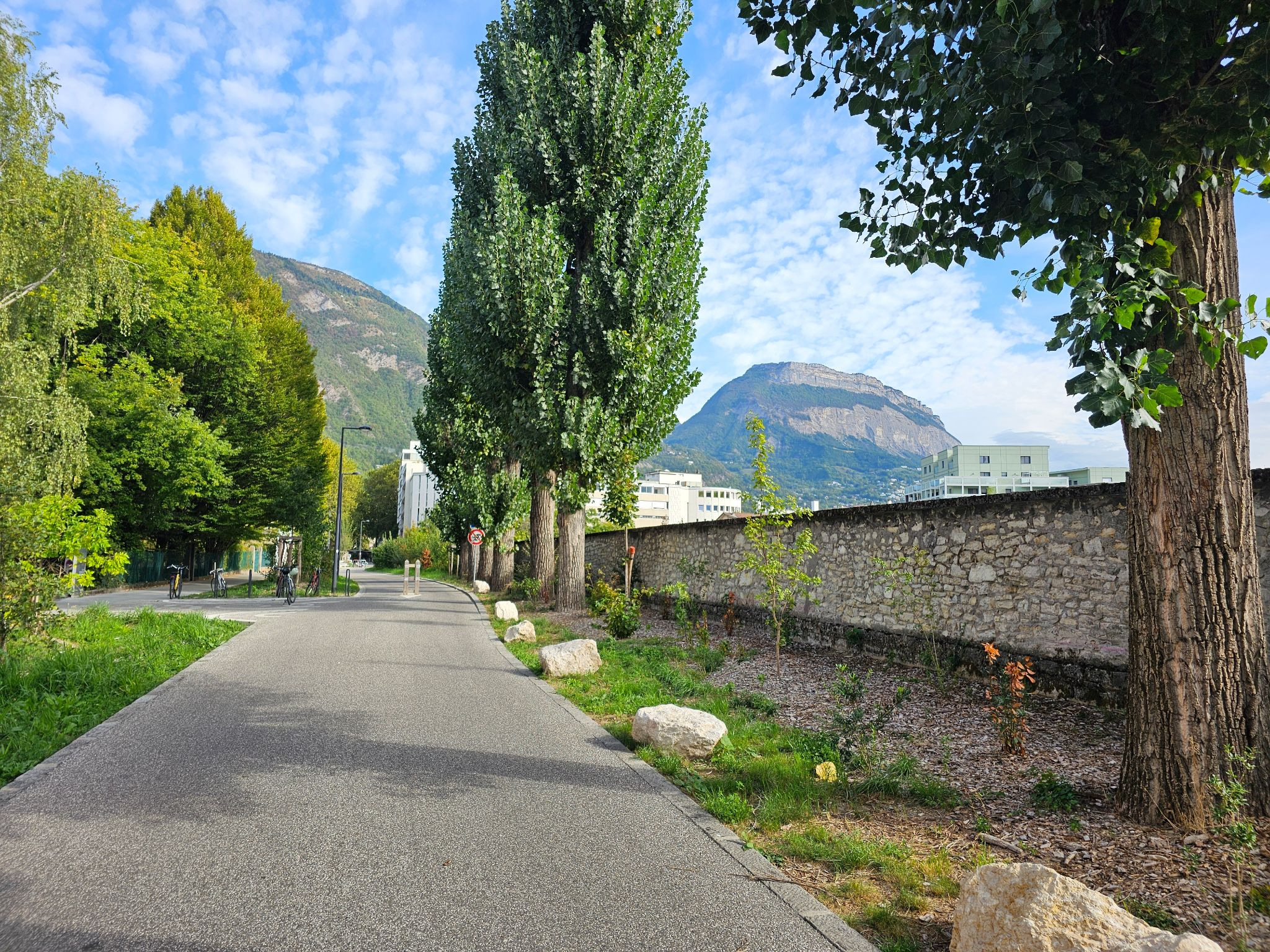 Pourquoi la Ville de Grenoble abat-elle des arbres?